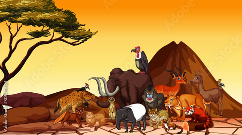 Scene with many animals in the field