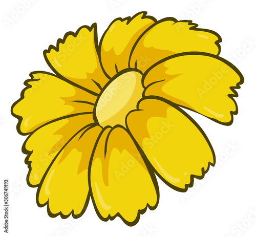 Single flower in yellow color