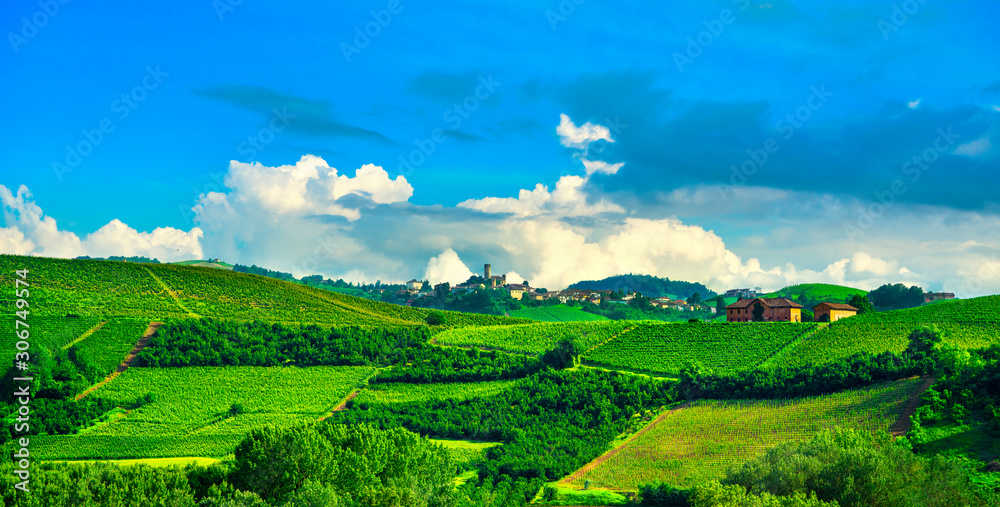 Langhe vineyards panorama, Castiglione Falletto, Piedmont, Italy Europe.