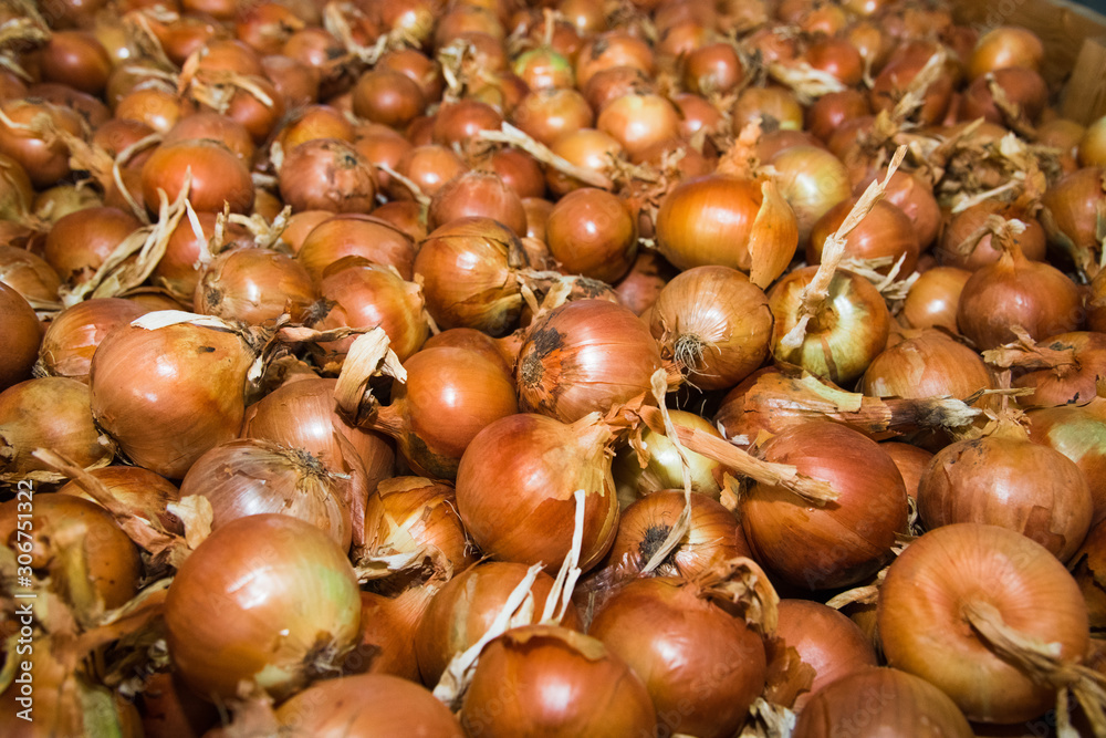 Fresh yellow onions as a background Fresh yellow onions as a background