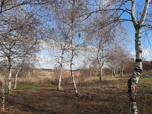 Sunset.nature.landscape