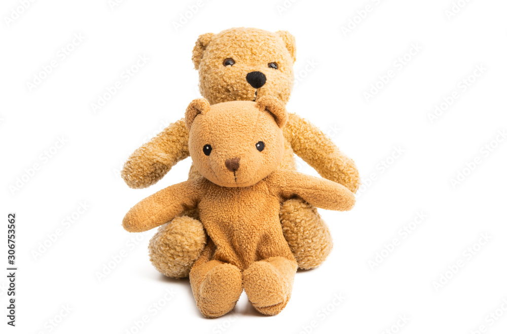 soft bear toy isolated soft bear toy isolated