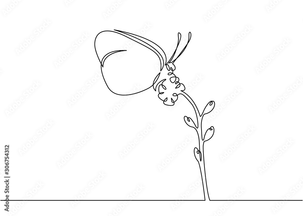 Fototapeta Beautiful flower with butterfly. Continuous one line sign drawing. Vector illustration