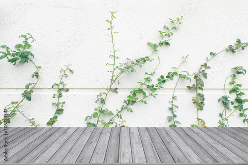 rose leaves on wall with wood textured backgrounds © Arnut