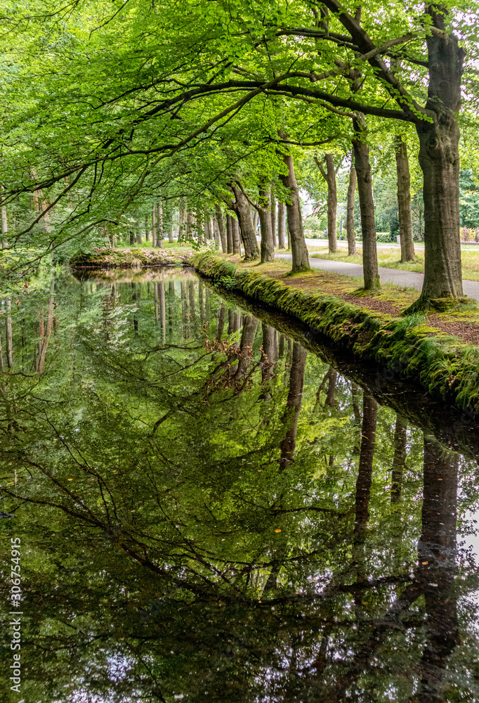 Reflections of trees in pond of Ter Horst castle in The Netherlands Reflections of trees in pond of Ter Horst castle in The Netherlands