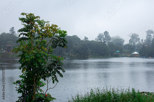 Scenic view of a tree and Yercaud Lake in background which is one of the largest lakes in Tamil Nadu. India photo