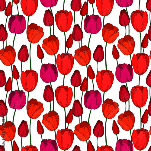 Fototapeta Naklejka Na Ścianę i Meble -  seamless pattern with tulips. spring pattern