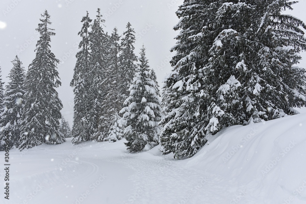 Fototapeta premium beautiful winter landscape with snow falling