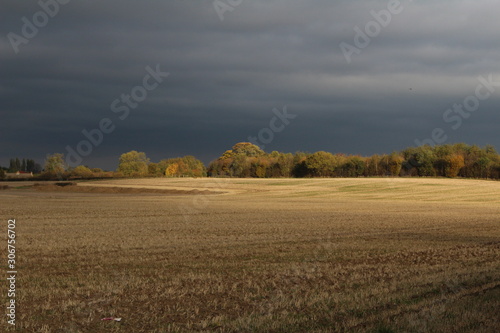 Farmland with autumn sunbeam shining on stubble and woodland with dark storm clouds above cornfield. In North Yorkshire UK