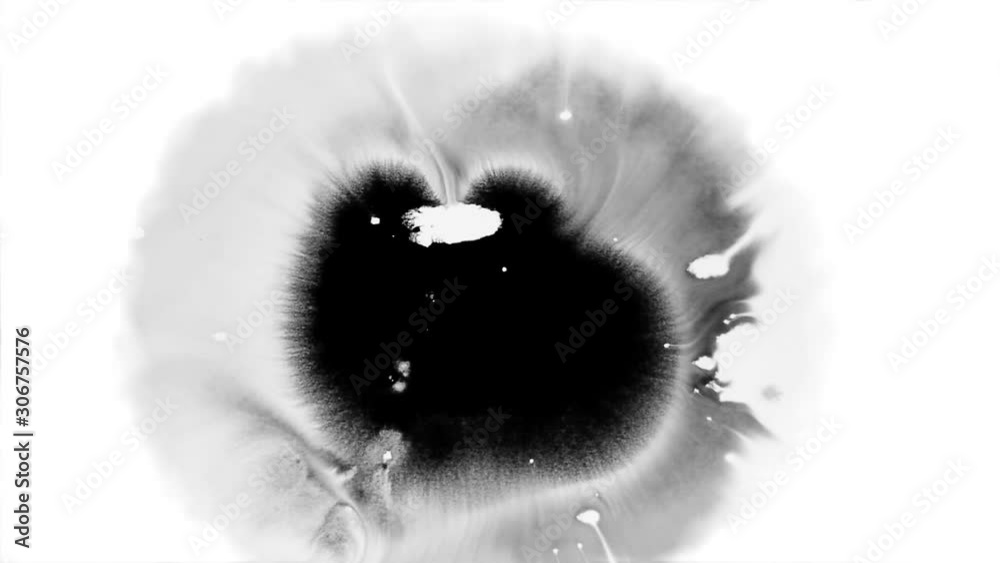 Bloom ink. Beautiful white watercolor ink drops transition on black background 1