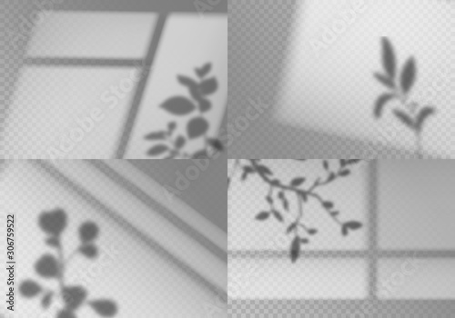 Overlay window shadows. Realistic leaves and window frames monochrome natural lighting transparent soft light natural effects vector set