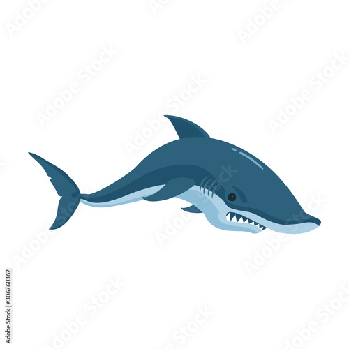 Fish shark vector icon.Cartoon vector icon isolated on white background fish shark .