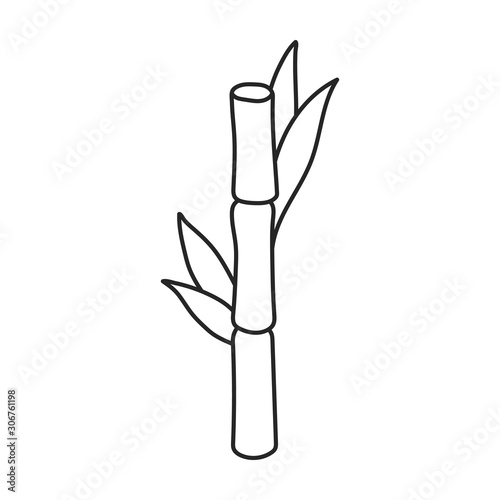 Stem of sugar cane vector icon.Line vector icon isolated on white background stem of sugar cane .