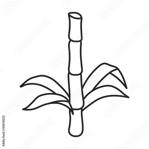 Stem of sugar cane vector icon.Line vector icon isolated on white background stem of sugar cane .