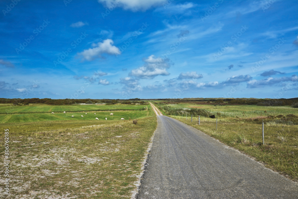 View on integral nature reserve on dutch island Texel with road leading through meadows and flock of sheep freely grazing in front of blue summer sky View on integral nature reserve on dutch island Texel with road leading through meadows and flock of sheep freely grazing in front of blue summer sky