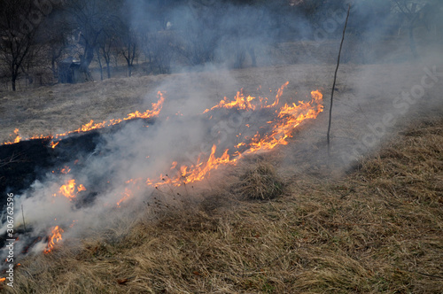In spring, a dry grass is burned © orestligetka