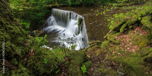 Stock Ghyll Force Waterfall - Lake District - Angleterre photo