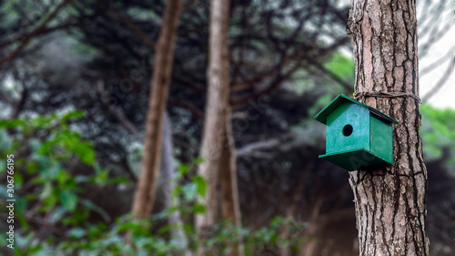 A green bird house installed in the tree in the forest.
