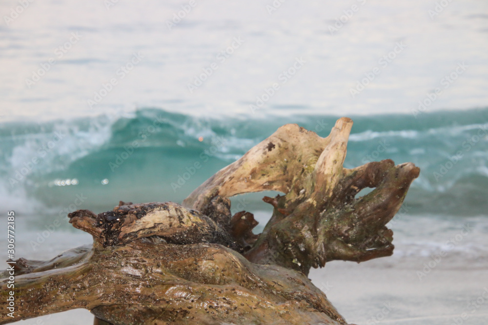 Log at tthe beach with a wave in the background Log at tthe beach with a wave in the background