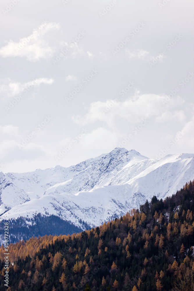 Autumn forest overlapping a Winter mountain in the alps portrait
