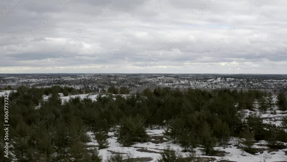 Drone shot moving forward on a pine tree covered snowy landscape Drone shot moving forward on a pine tree covered snowy landscape