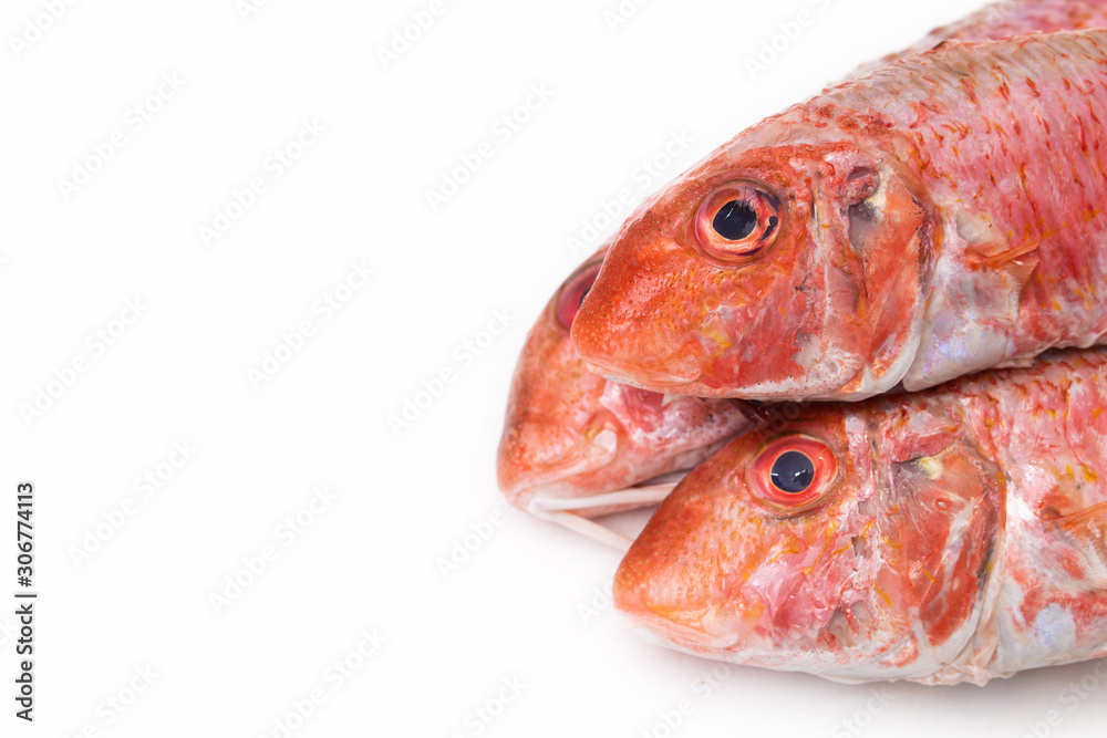natural raw fish isolated on white background, salmon or mullets natural raw fish isolated on white background, salmon or mullets
