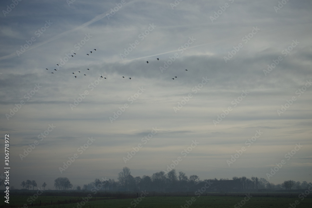 Obraz premium Südbrookmerland Landschaft