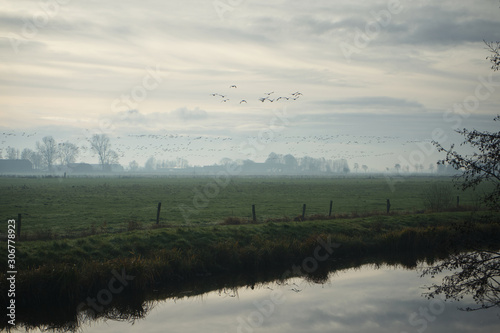 Obraz na płótnie Südbrookmerland Landschaft w salonie