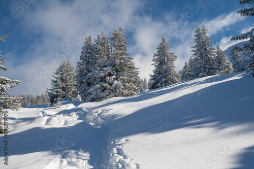 Montagne en hiver © Julien Le Mercier