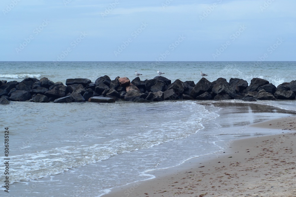 Fototapeta premium Denmark, coasts, dunes, raw