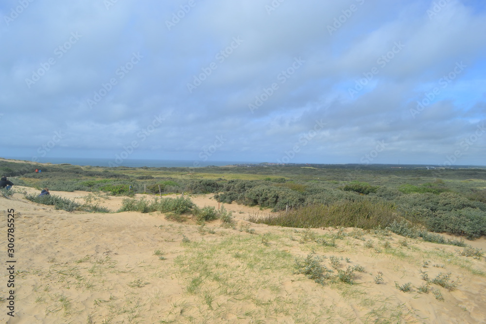 Denmark, coasts, dunes, raw