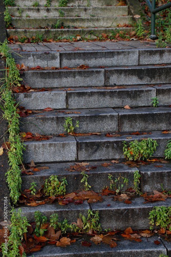Stairs in a park Stairs in a park