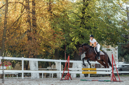 Young woman horse rider sportswoman on equestrian sport competition leaping over hurdle at autumn time.