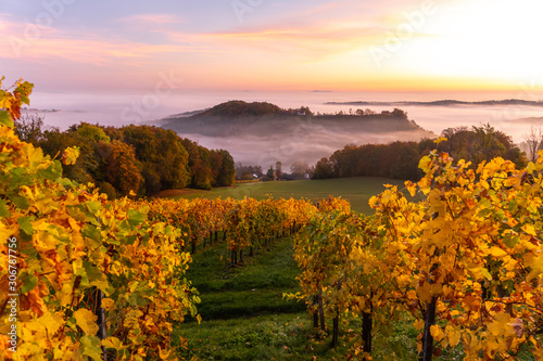 Amazing misty autumn morning in hilly Styria  Austria.