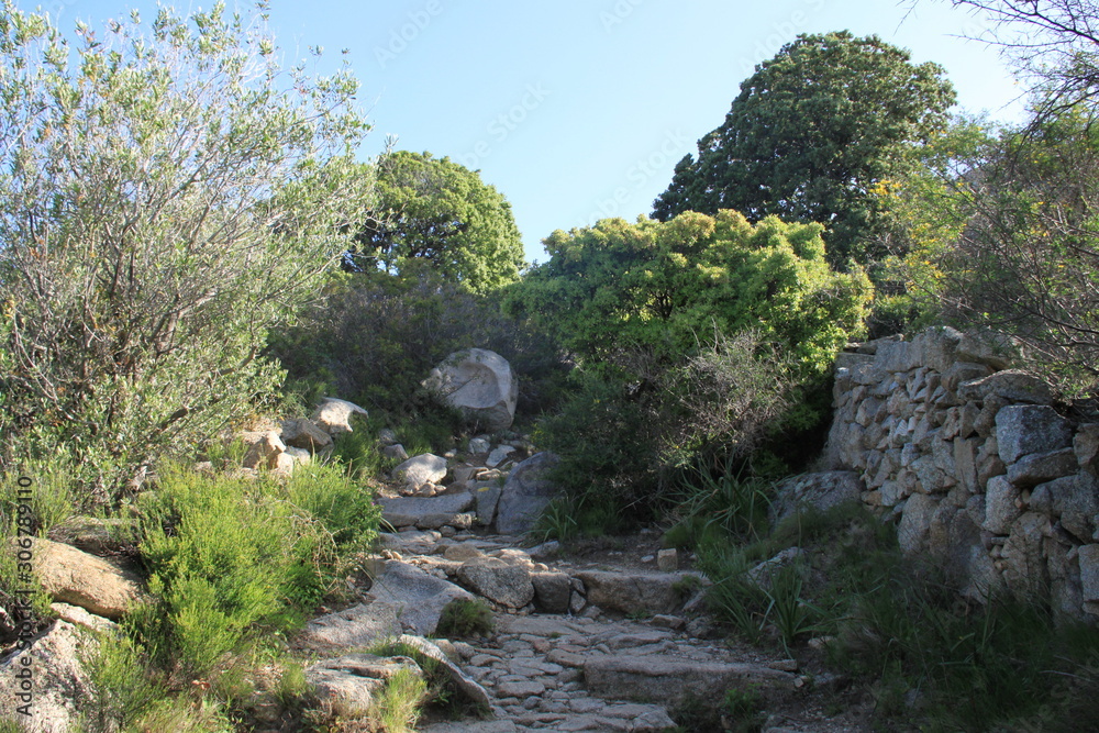 Sentier de Lumio