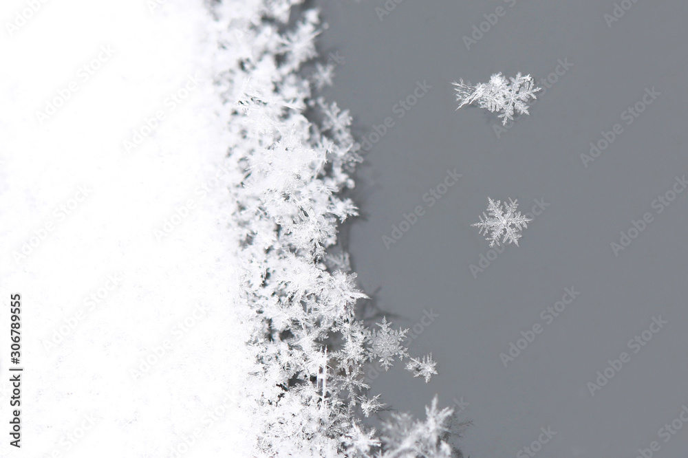 Fototapeta premium 雪の結晶
