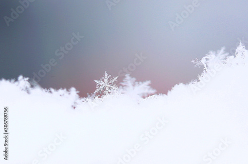 雪の結晶