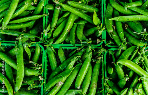 fresh green beans (ID: 306789946)