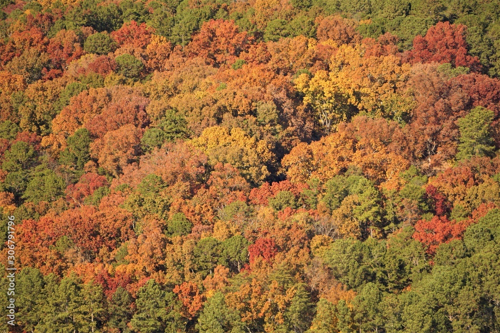 Colorful trees looking from stone mountain in Fall season background texture, Atlanta, Georgia USA. Colorful trees looking from stone mountain in Fall season background texture, Atlanta, Georgia USA.