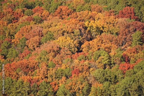 Colorful trees looking from stone mountain in Fall season background texture, Atlanta, Georgia USA.