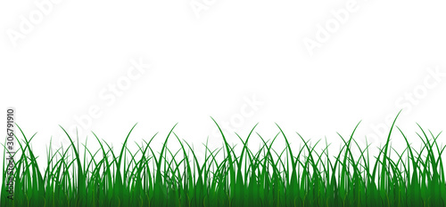 Vector bright green realistic grass isolated on white background. Vector illustration.