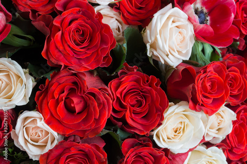 Background of fresh red and white roses.