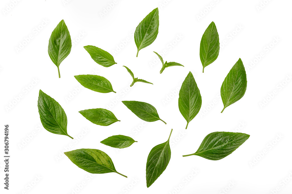 Top view, Fresh basil leaves isolated on white background.