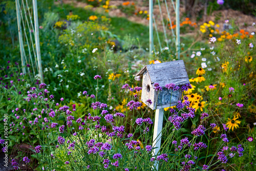 Photo Birdhouse in Flower Garden