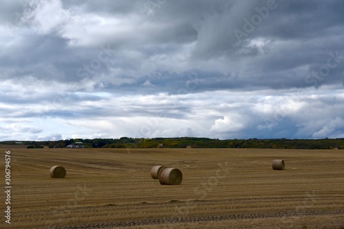 Dark clouds of a storm front loom over a field with round bales