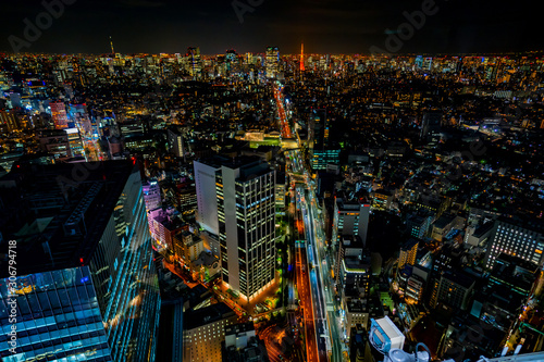 Tokyo cityscape  Japan night view                                  