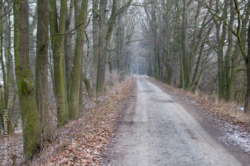 alley