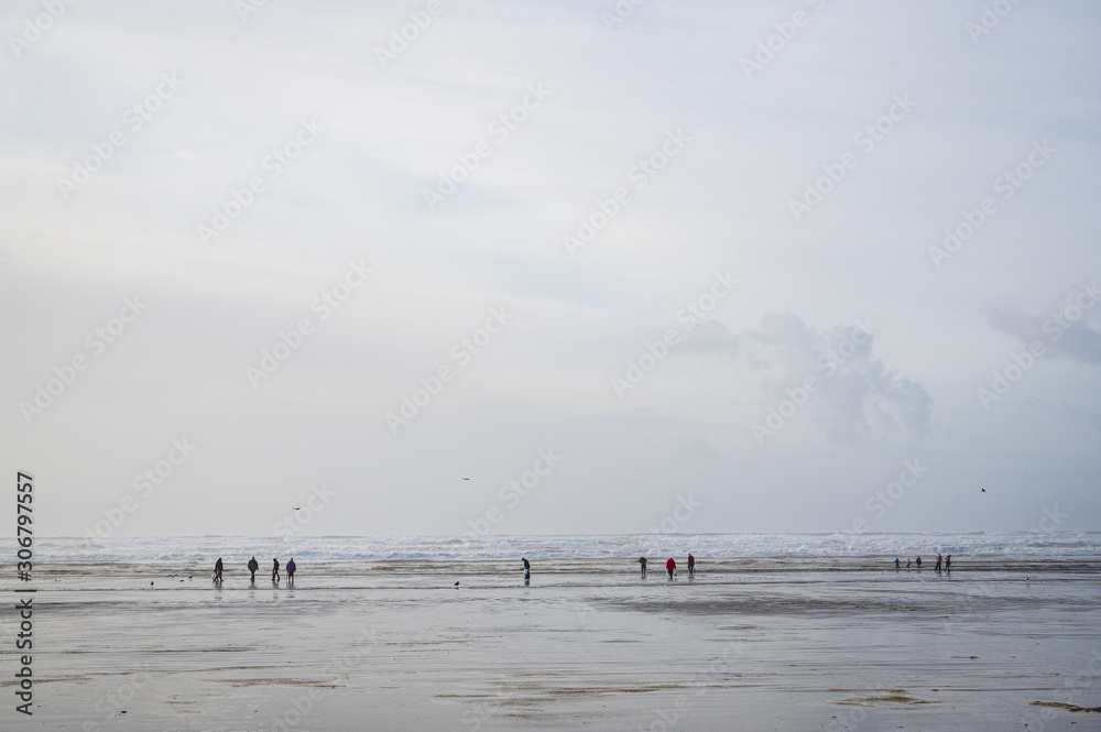 Vast beach at low tide with people clamming, Pacific Ocean at Ocean Shores, Washington State, USA
