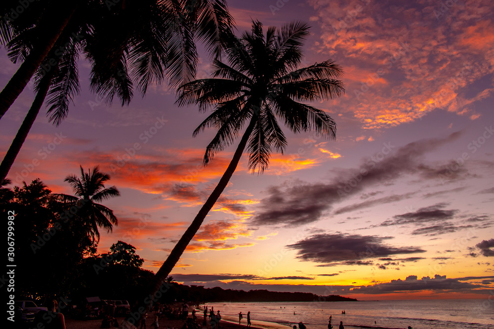 Tropical Beach at Twilight
