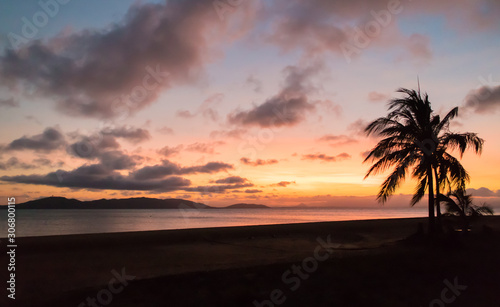Silhouette of a palm tree on an empty beach at sunset